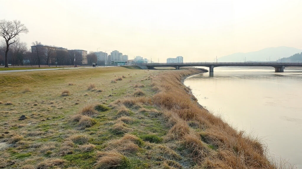 冬の朝の川沿いの土手。枯れ草に霜が残り、川の向こうに橋と街並みがかすんで見える